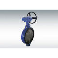 Cast Iron Butterfly Valve with Gearbox